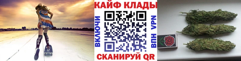 Продажа наркотиков Сосновый Бор Cocaine  ГАШ  Канабис 