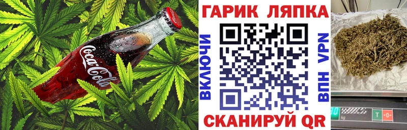 как найти   Сосновый Бор  Еда ТГК марихуана 