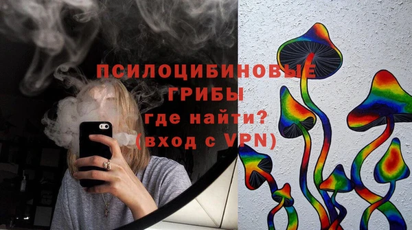 молекула духа Арсеньев