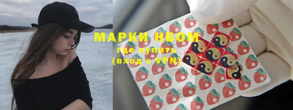 молекула духа Арсеньев