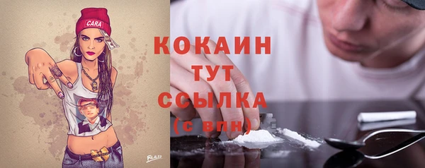 молекула духа Арсеньев