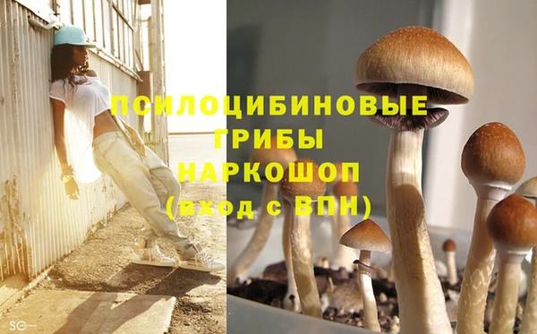 мескалин Аркадак