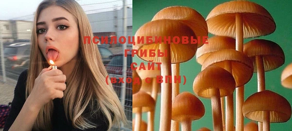 меф Армянск